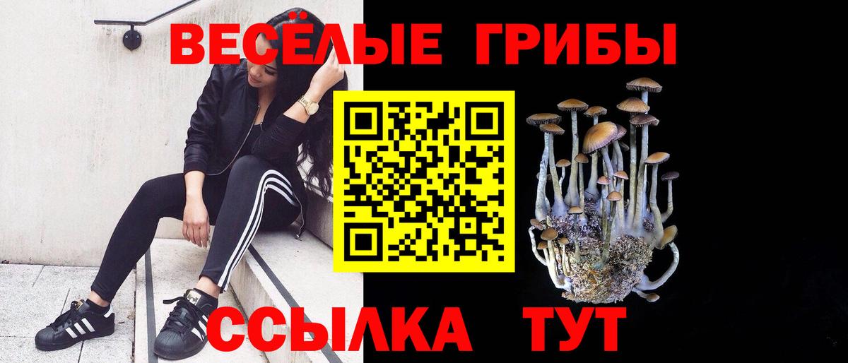 Галлюциногенные грибы MAGIC MUSHROOMS  Вход с VPN  Кашира 