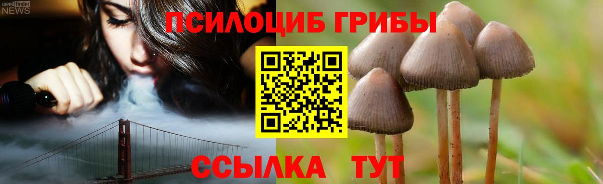 Псилоцибиновые грибы Magic Shrooms Кашира