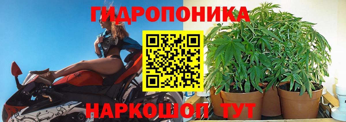 Каннабис Amnesia  Вход с VPN  Кашира  Марихуана индика  Бошки Шишки SATIVA & INDICA  Бошки Шишки White Widow 